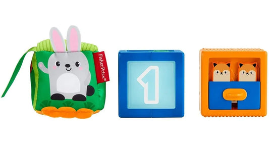 Blocos Fisher Price - Mattel